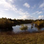 Adlam's Plantation