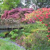 High Beeches Garden
