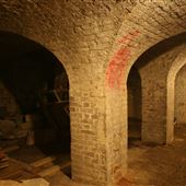 Copped Hall (vaulted cellars)