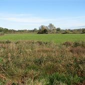 Beccles Marshes