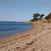 Lepe Country Park