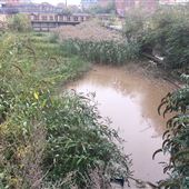 River Hull - Docks