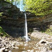 Hardraw Force