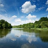 Forest of Dean