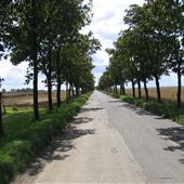 Road from Ottringham to Sunk Island, and Sunk Island to Stone Creek