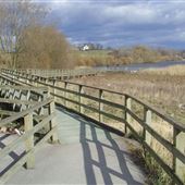 RSPB Fairburn Ings Nature Reserve