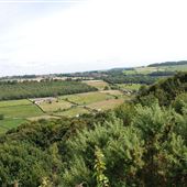 View from Green Moor