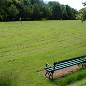 Low Green Park Bench