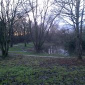 Carr Lane Woods