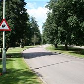 Goldring Way