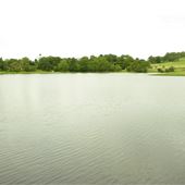 Langley Lake