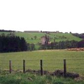 Edlingham Castle