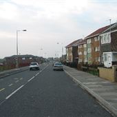 Biddick Hall Estate
