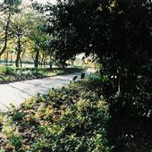 War Memorial Park Hebburn