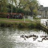 Chapmore End Village