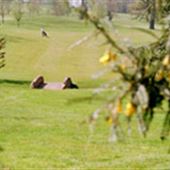 Bushey Country Club