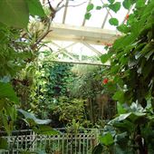 The Botanical Gardens