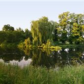 Hatfield House - Woodlands