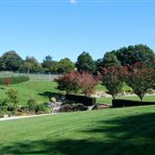Calverley Grounds