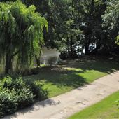 Whatman Park
