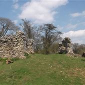 KCC Country Parks - White Horse Wood Country Park