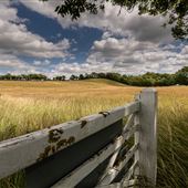 Dean Farm Meadows