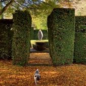 Bledlow Manor House Gardens