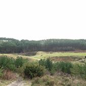 FE - Bourne Wood