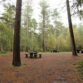 Moors Valley Country Park