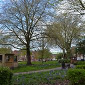 Palmyra Square