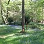 Stockgrove Country Park