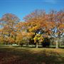 Russell Park