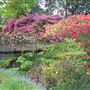 High Beeches Garden