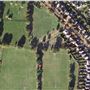 Blenheim Park