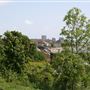 Leigh Hill