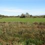 Beccles Marshes