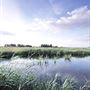 Lakenheath Fen