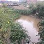 River Hull - Docks