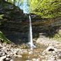 Hardraw Force