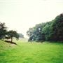 Yorkshire Wolds countryside