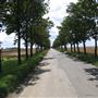 Road from Ottringham to Sunk Island, and Sunk Island to Stone Creek