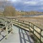 RSPB Fairburn Ings Nature Reserve