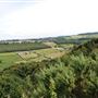 View from Green Moor