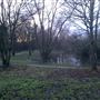 Carr Lane Woods