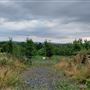 Y Junction nr Putley, Herefordshire