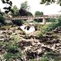 Linton Falls Bridge