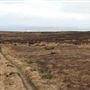 Bingley Moor