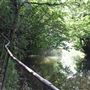 Frome Walk Winterbourne
