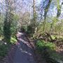 East Lane