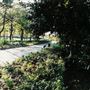 War Memorial Park Hebburn